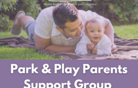 Park & Play Parents Support Group